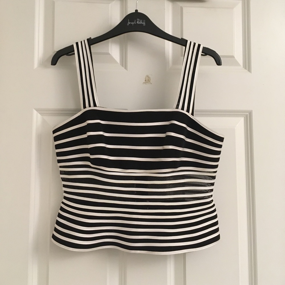 Cropped Ribkoff top with sheer midriff